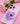 Phone Grip LUNA CAT
