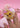 Phone Grip Kawaii Eevee