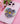 Phone Grip Tairn
