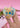 Phone Grip Bunny New Begins